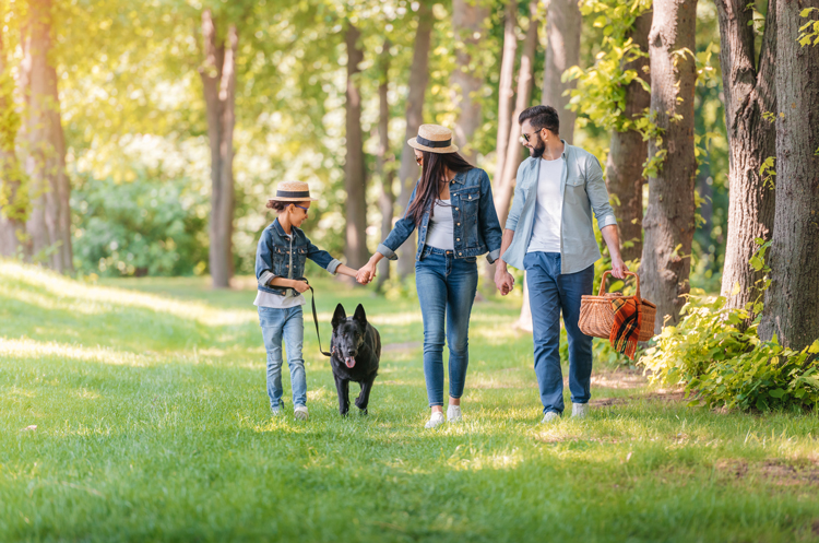 A girl, a woman, and a man with a dog and a picnic basket